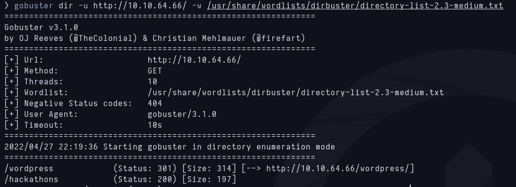 Gobuster fuzzing